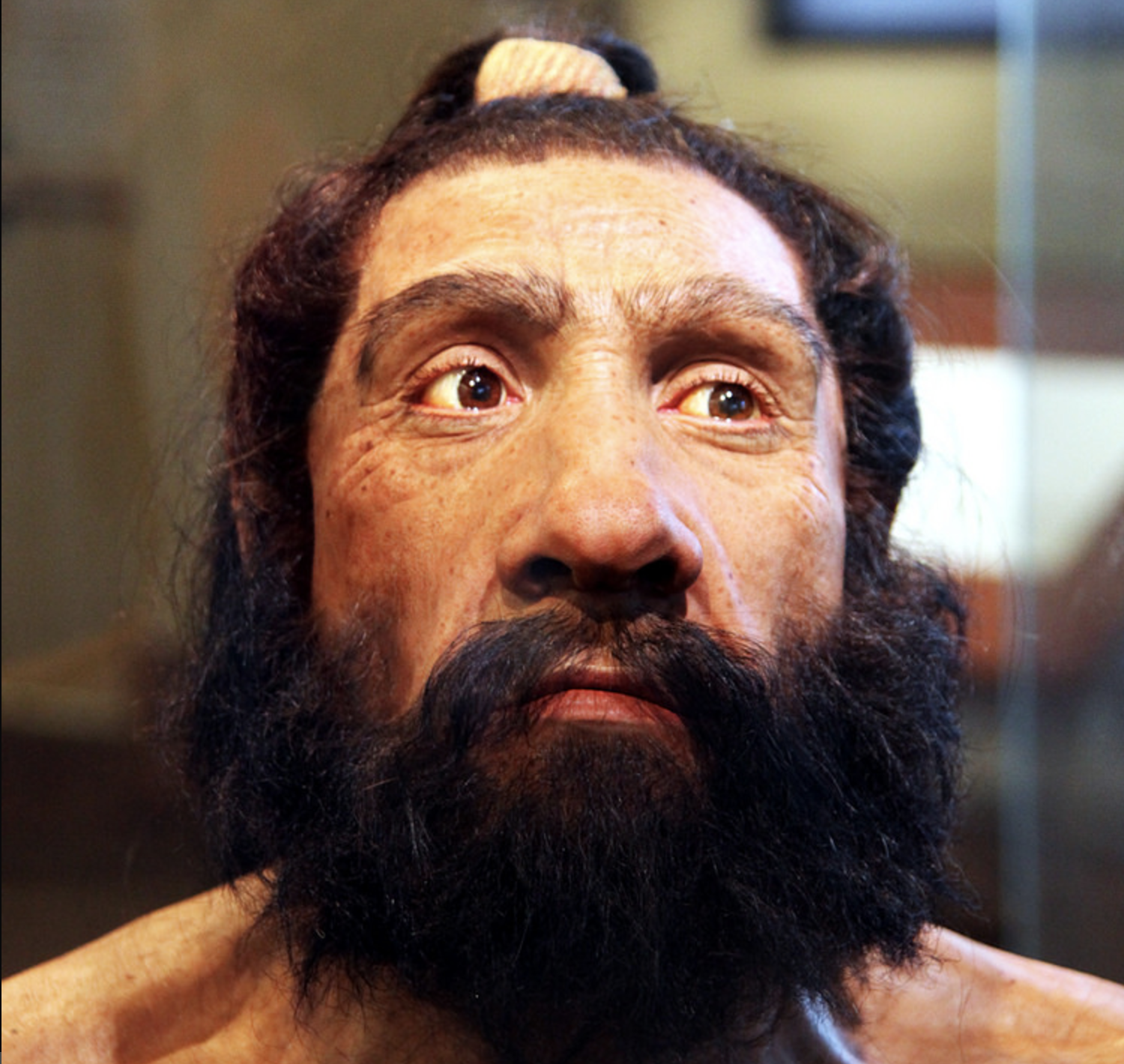 What Did The Voice Of Neanderthals Our Distant Cousins Sound Like
