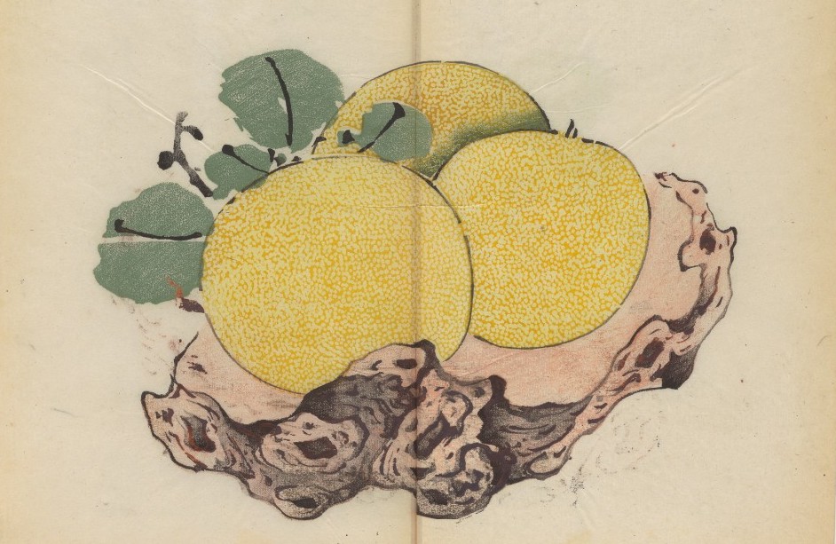 The World’s Oldest Multicolor Book, a 1633 Chinese Calligraphy & Painting Manual, Now Digitized and Put Online Artes & contextos Oldest Color book 8