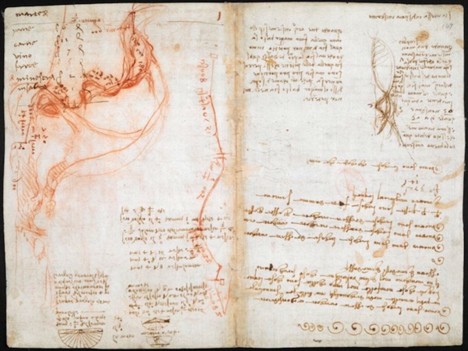 Leonardo da Vinci’s Visionary Notebooks Now Online: Browse 570 Digitized Pages o DAVINCIDIARIES facebook