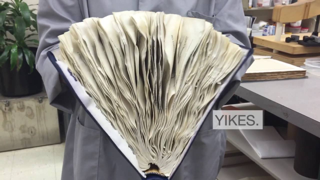 How to Rescue a Wet, Damaged Book: A Short, Handy Visual Primer