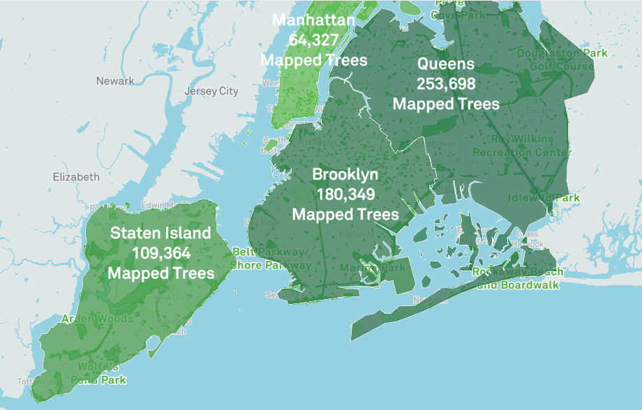 Behold The New York City Street Tree Map An Interactive Map That