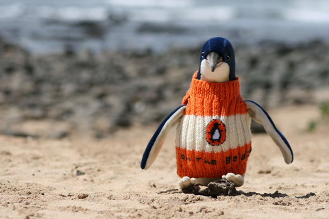 Gwenny Penny: Cutest Thing Ever: Penguins in Sweaters