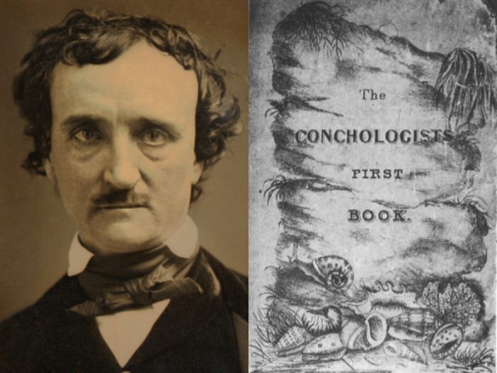 Edgar Allan Poe--Cosmologist? - Scientific American Blog Network