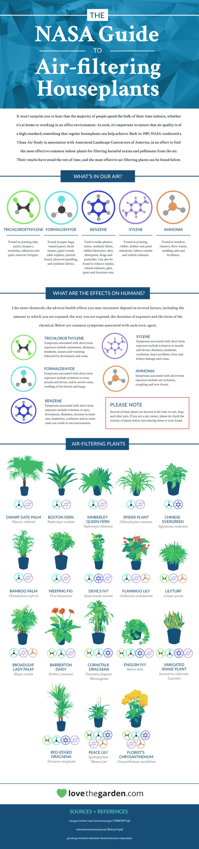 graphic-shows-the-house-plants-that-naturally-clean-the-air-in-your