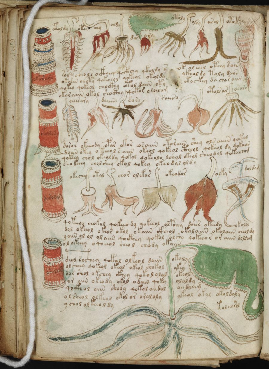 voynich manuscript documentary