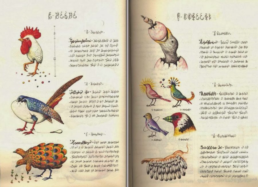 Codex Seraphinianus: History's Most Bizarre and Beautiful Encyclopedia,  Brought Back to Life – The Marginalian