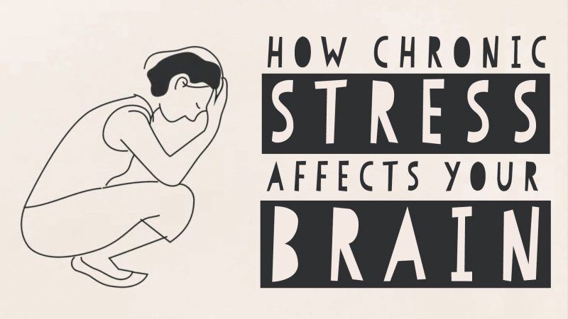 Animated Video How Stress Affects Your >> How Stress Can Change Your Brain An Animated Introduction Open Animated Video How Stress Affects Your >> How Stress Can Change Your Brain An Animated Introduction Open