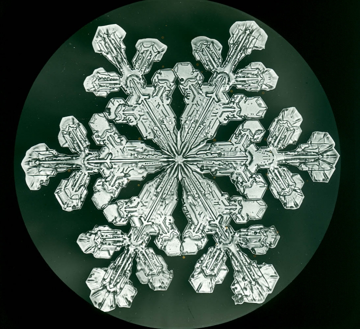the-first-photographs-of-snowflakes-discover-the-groundbreaking