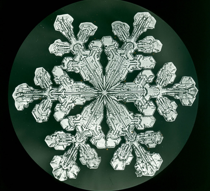 How history's first photos of snowflakes were made