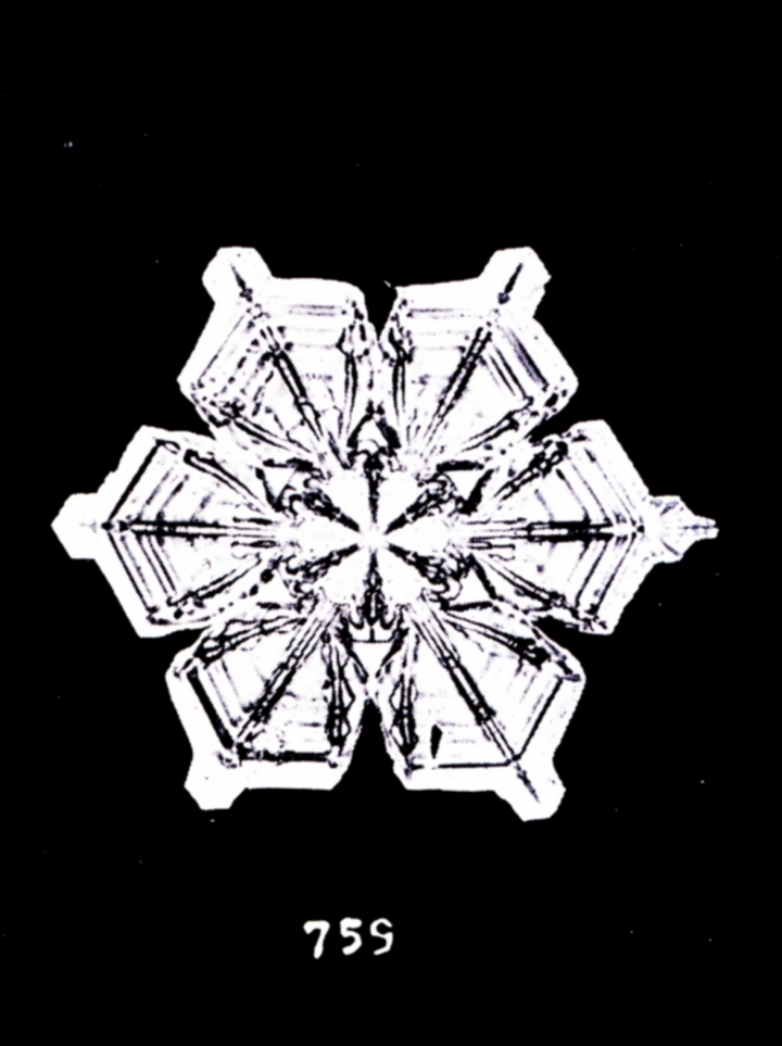 The Fascinating Science Behind Snowflake Formation, by Charles The  Scientist