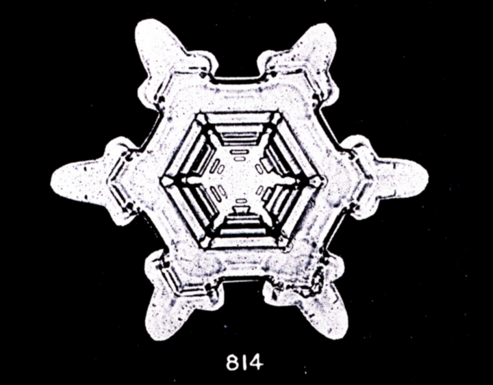 How history's first photos of snowflakes were made