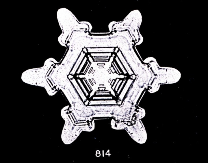 Snowflake Photographs 