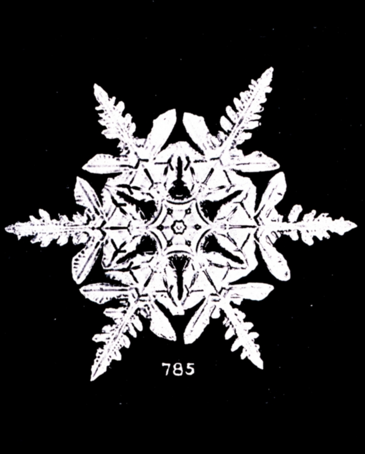 first pictures of snowflakes clipart