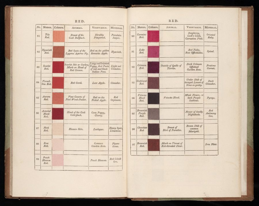 Newton's Color Wheel  Overview, History & Later Additions - Video