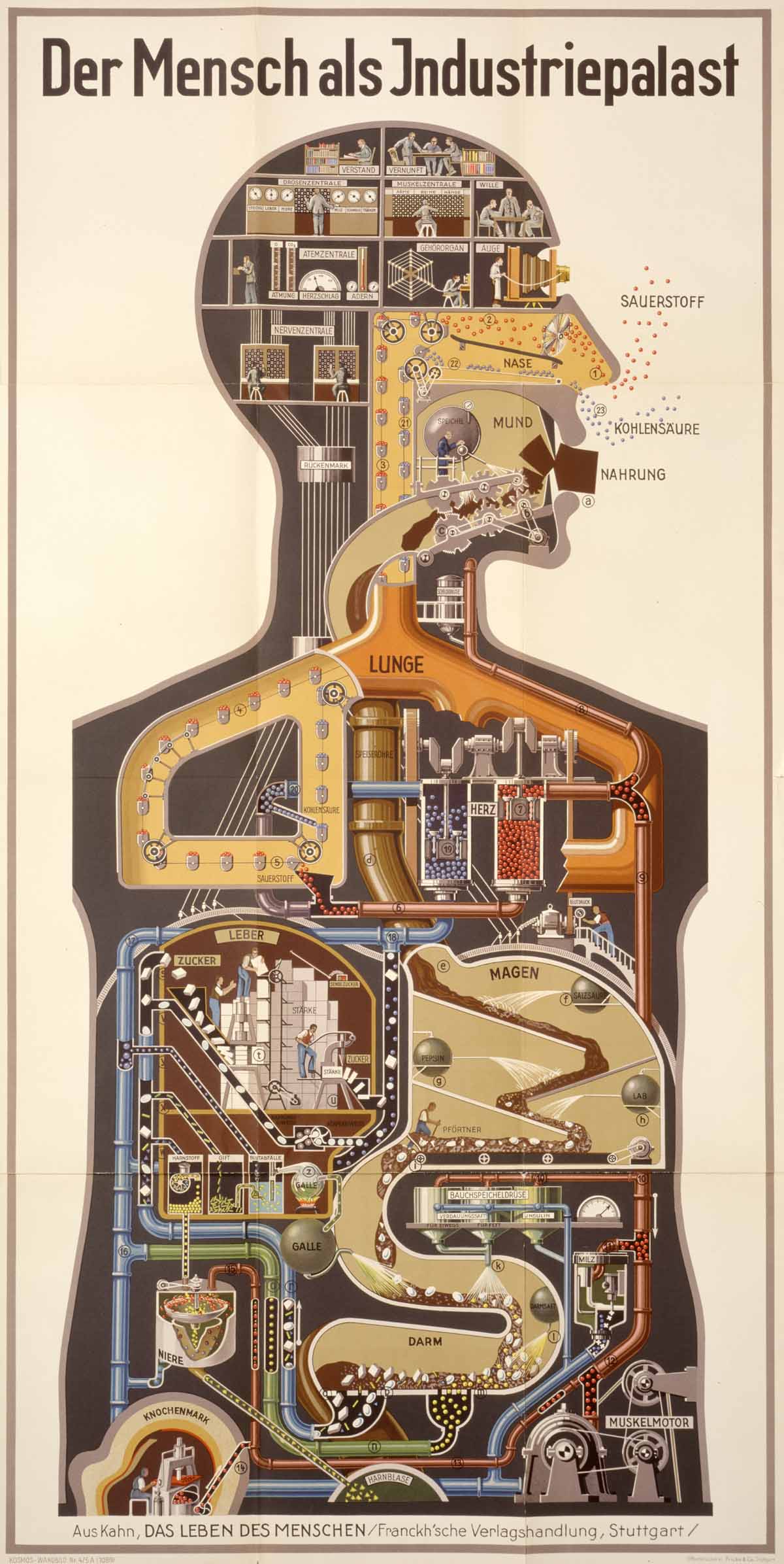 Man as Industrial Palace," the 1926 Lithograph Depicting the Human Body as  a Modern Factory, Comes to Life in a New Animation | Open Culture