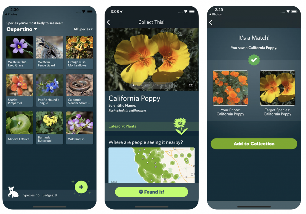 A Shazam for Nature: A New Free App Helps You Identify Plants, Animals &  Other Denizens of the Natural World | Open Culture
