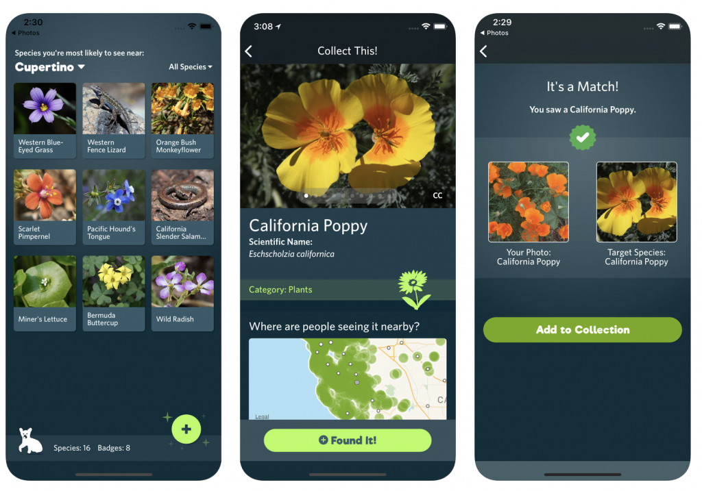 Flower Identification App For Iphone / 19 Best Plant Identification