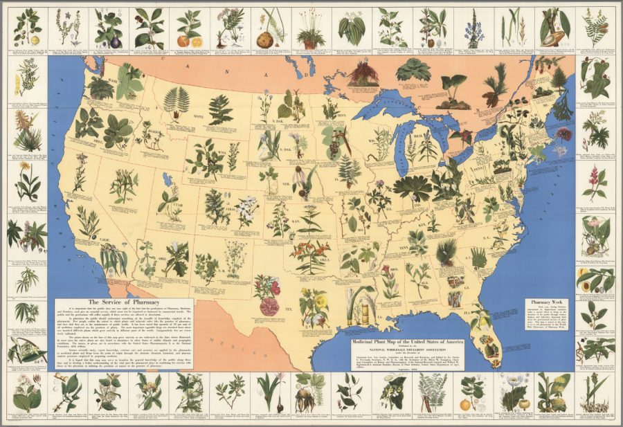 american medicinal plants an illustrated dictionary free download