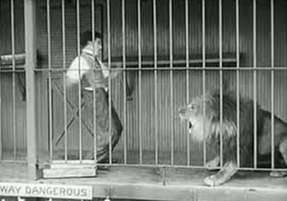 Charlie Chaplin Films a Scene Inside a Lion&#39;s Cage in 200 Takes | Open  Culture
