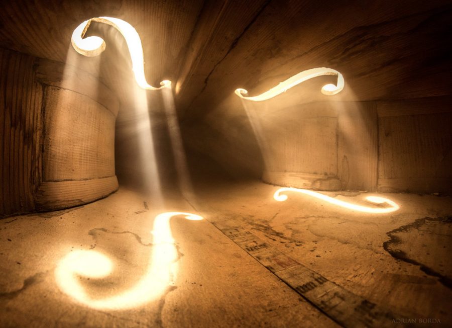Behold Mystical Photographs Taken Inside a Cello, Double Bass & Other  Instruments