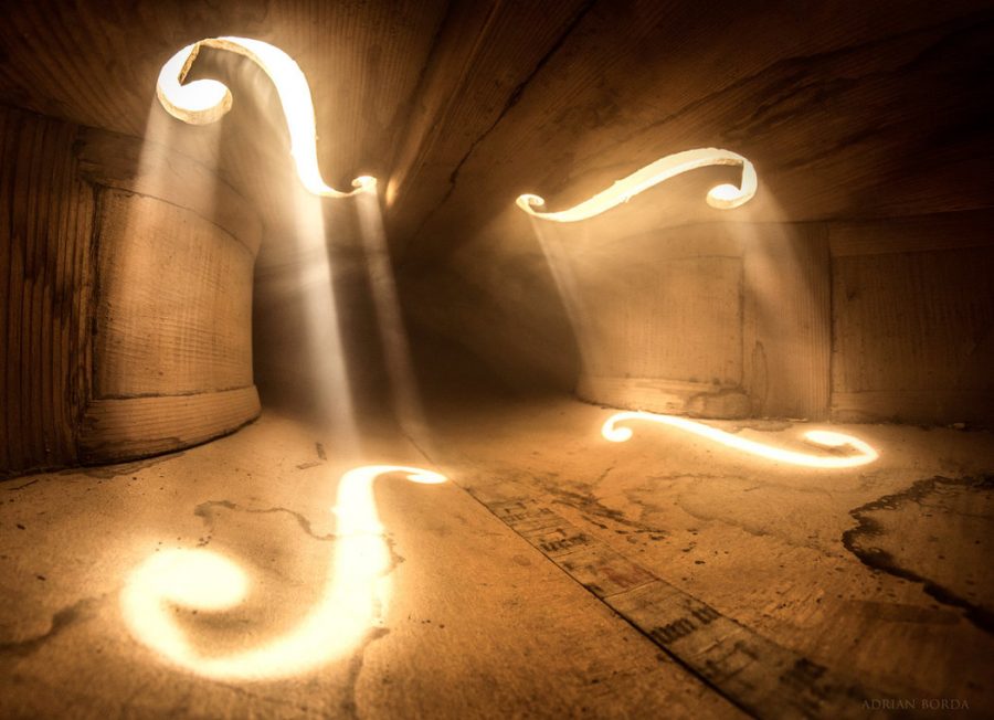 Behold Mystical Photographs Taken Inside a Cello, Double Bass