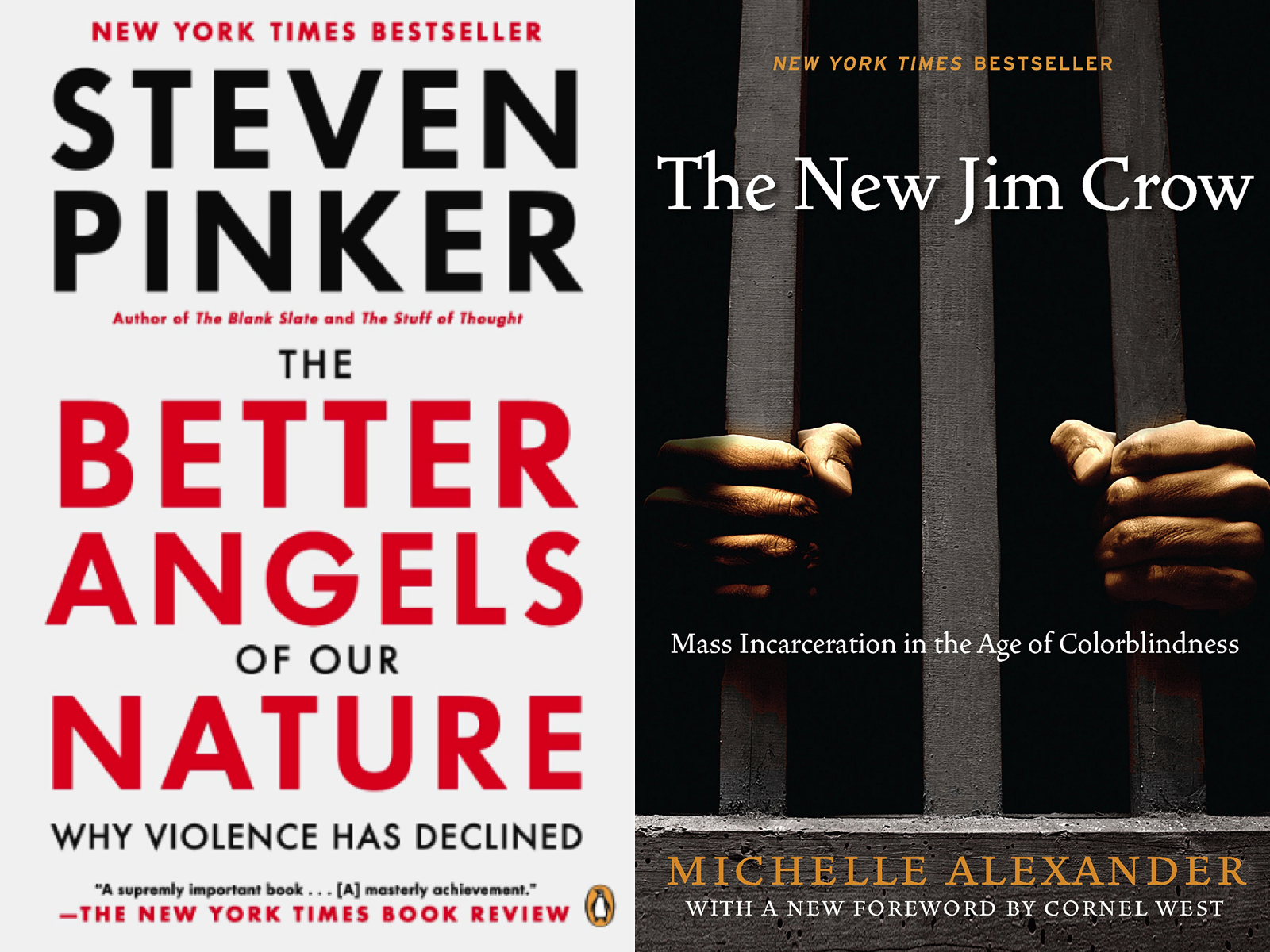 The Better Angels of Our Nature: Why Violence Has Declined eBook : Pinker,  Steven: Kindle Store 