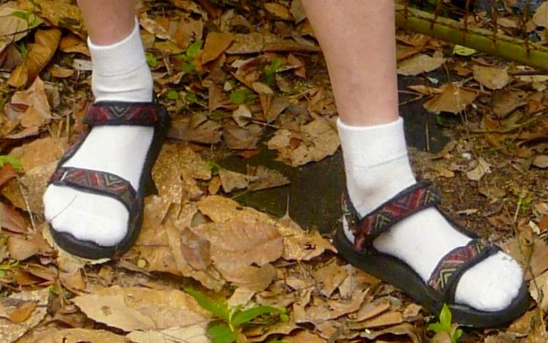 old man socks and sandals