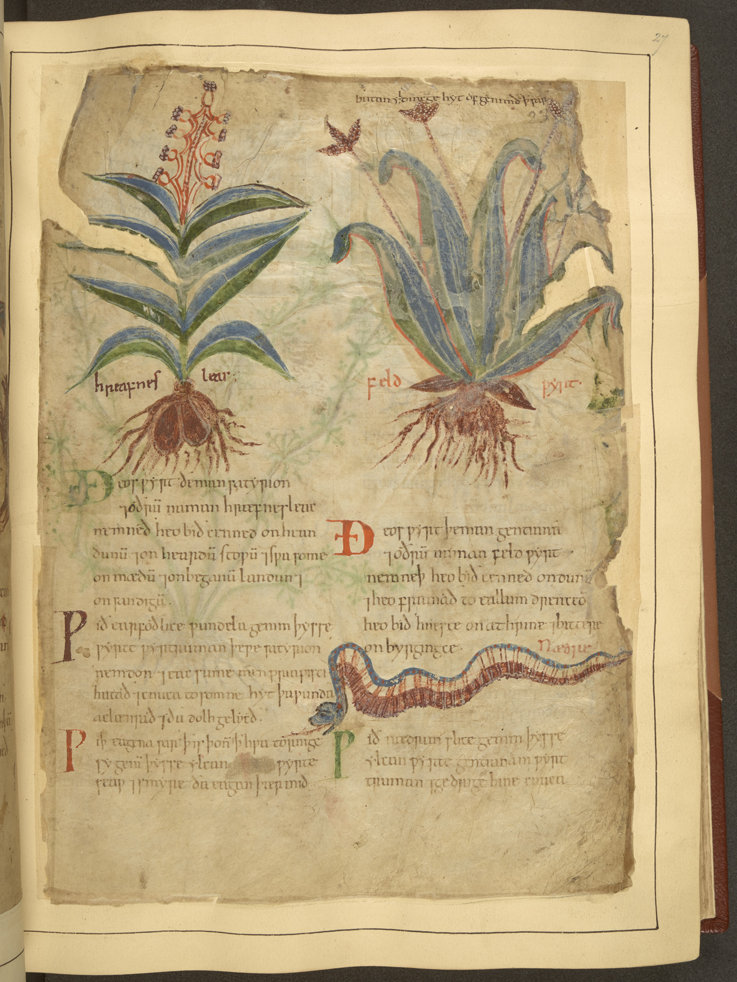 Medieval manuscripts blog: December 2016