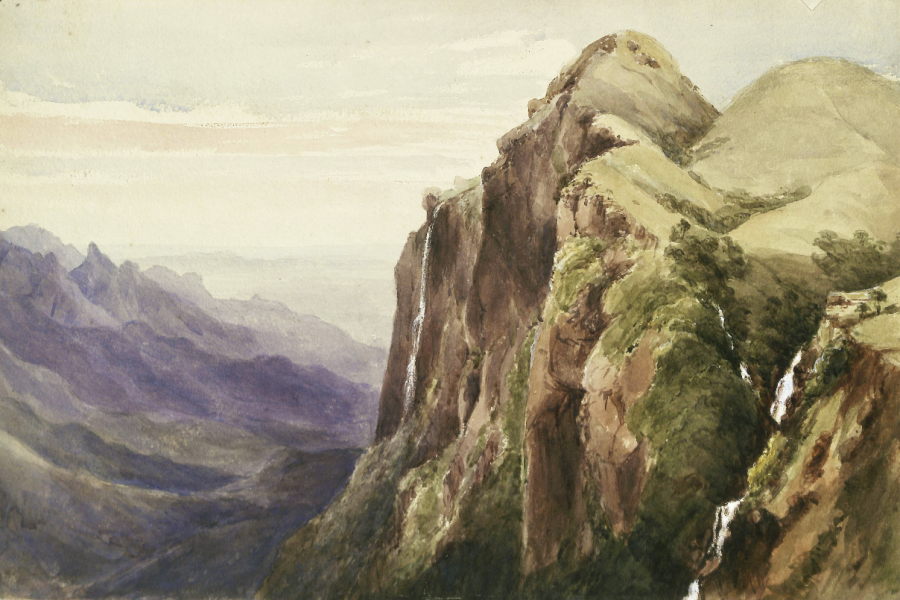 New Archive Digitizes 80 000 Historic Watercolor Paintings the