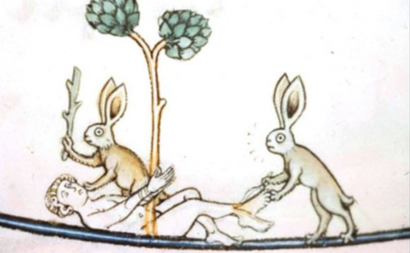 Killer Rabbits in Medieval Manuscripts: Why So Many Drawings in ...