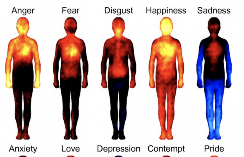 Printable Emotions In The Body Map prntbl concejomunicipaldechinu gov co