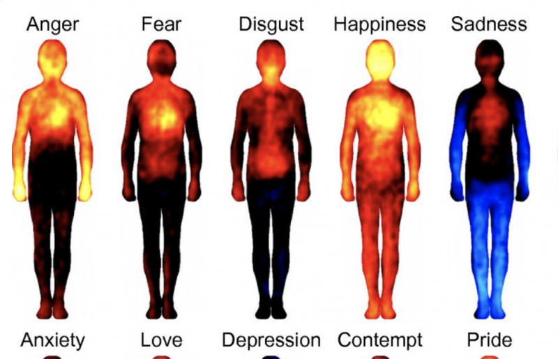 Mapping Emotions On The Body: Love Makes Us Warm All Over : Shots - Health  News : NPR