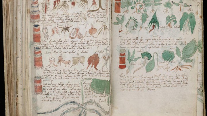 voynich manuscript pdf volumr 1