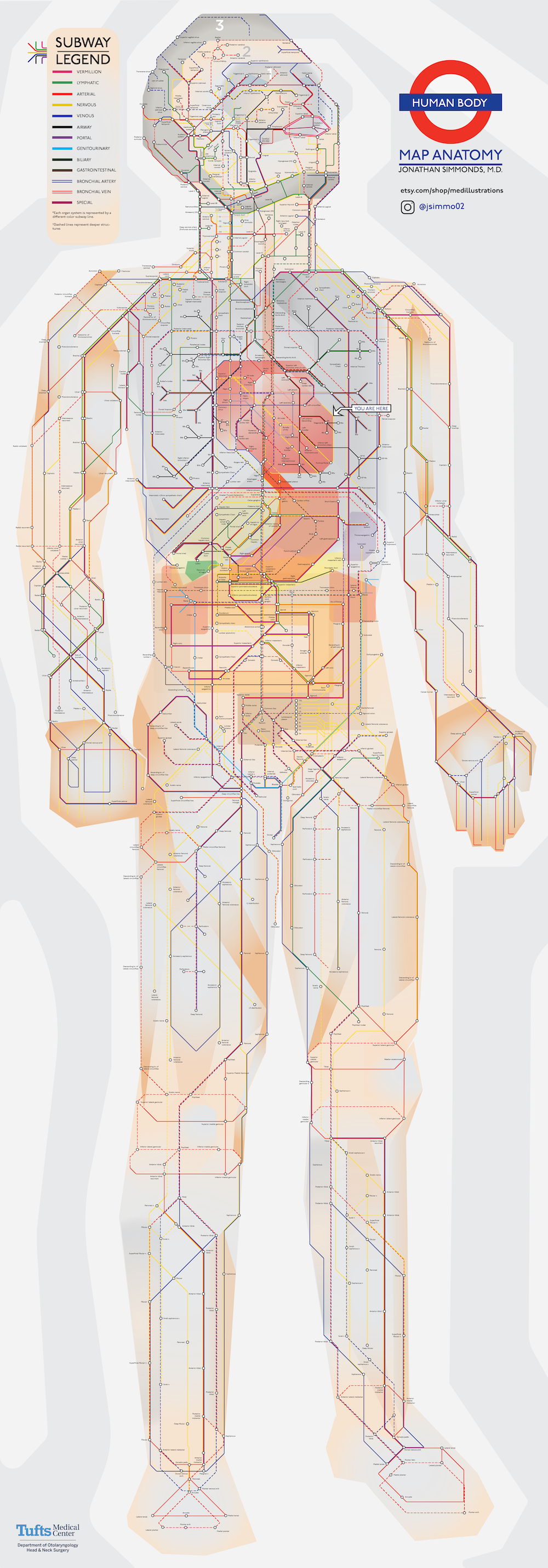 A Subway Map Of Human Anatomy All The Systems Of Our Body Visualized In The Style Of The London Underground Open Culture