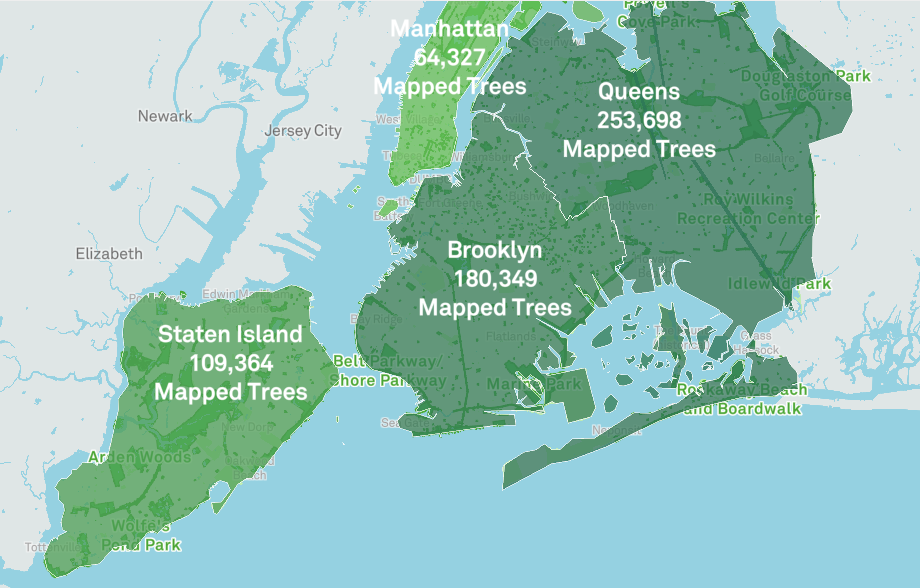 Behold The New York City Street Tree Map An Interactive Map That Catalogues The 700 000 Trees Shading The Streets Of New York City Open Culture