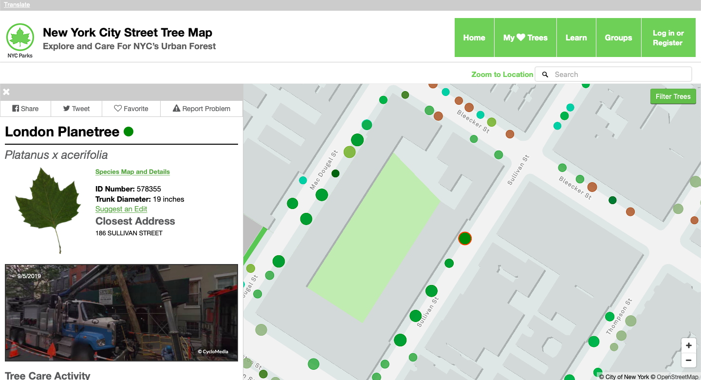 Behold The New York City Street Tree Map An Interactive Map That Catalogues The 700 000 Trees Shading The Streets Of New York City Open Culture