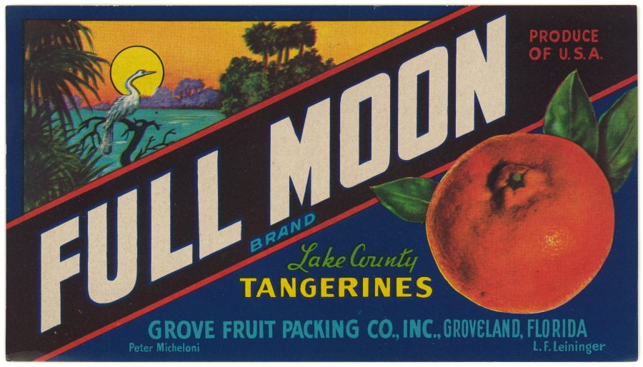 Nocatee Florida Big Gun Orange Citrus Fruit Crate Label Art Print 