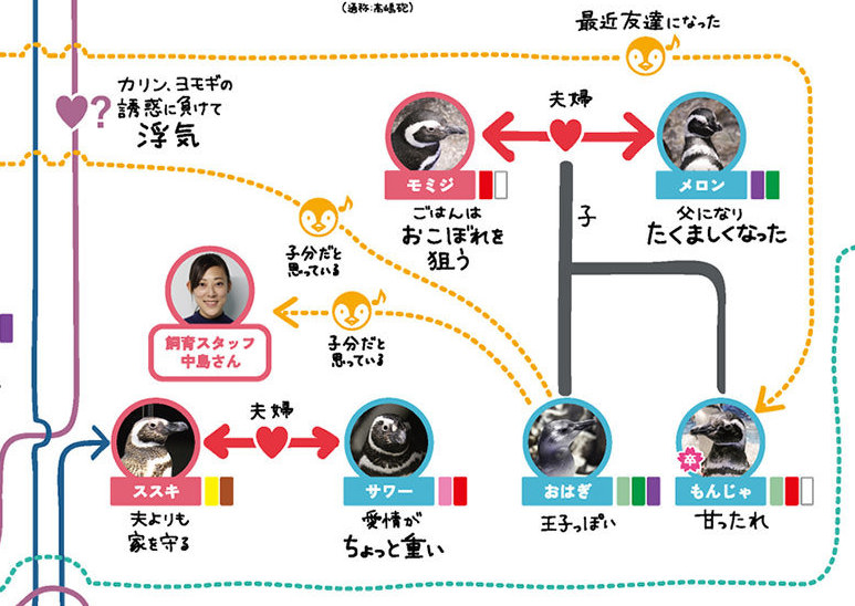 Japanese Aquariums Track Penguins' Dramatic, Salacious Love Lives Through  Complex Flowcharts — Colossal