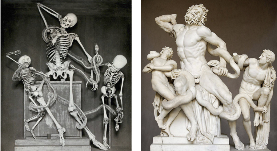 laocoon and his sons sculpture