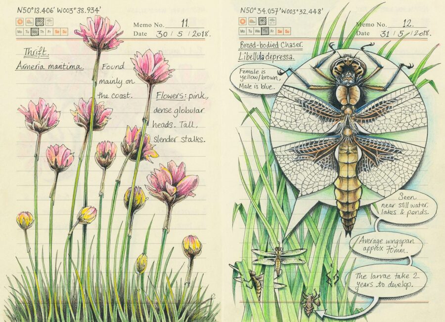 The Sketchbook Project Presents Online 24,000 Sketchbooks, Created by  Artists from 135 Countries