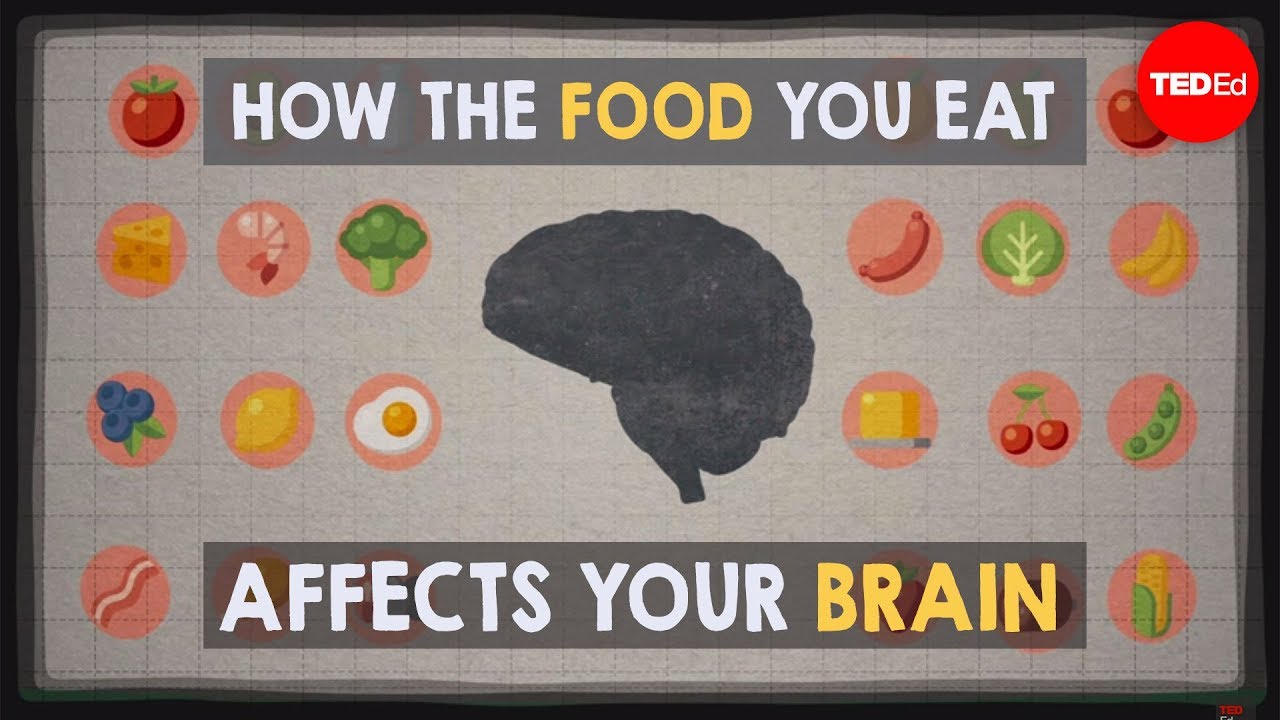 How The Food We Eat Affects Our Brain Learn About The Mind Diet Open Culture