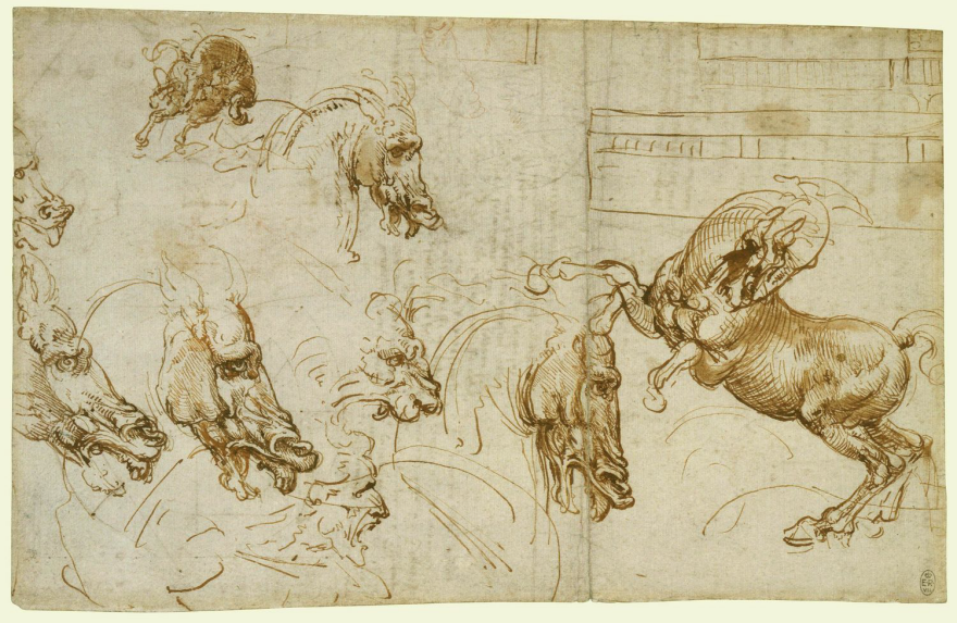 leonardo da vinci drawings