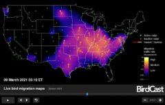 Maps Archives - Open Culture archive | Open Culture