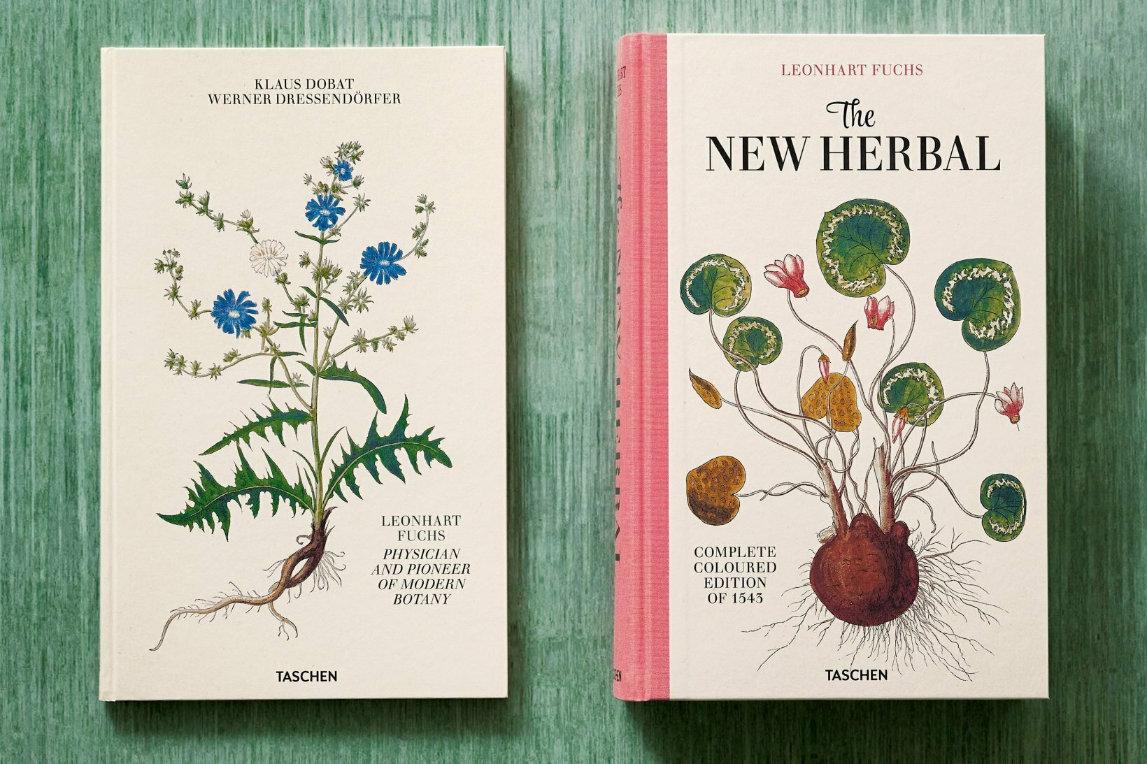 The New Herbal: A Masterpiece of Renaissance Botanical