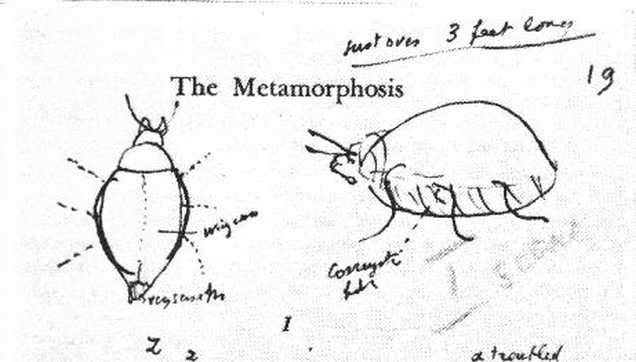 Franz Kafka Says the Insect in The Metamorphosis Should Never Be Drawn ...