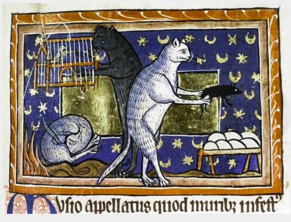 Cats in Medieval Manuscripts & Paintings
