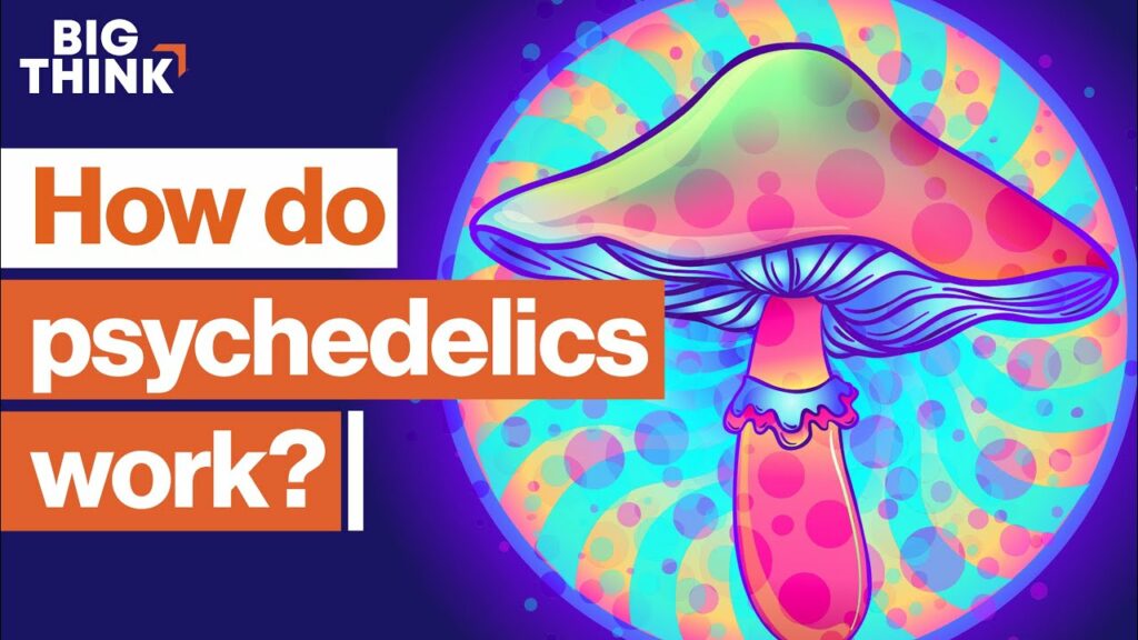 Michael Pollan, Sam Harris & More Explain How Psychedelics Can Change Your Mind