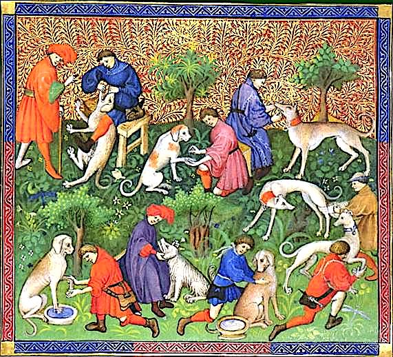 A List of 1,065 Medieval Dog Names: Nosewise, Garlik, Havegoodday & More