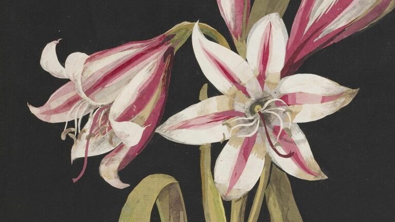 Behold 900+ Magnificent Botanical Collages Created by a 72-Year-Old Widow, Starting in 1772