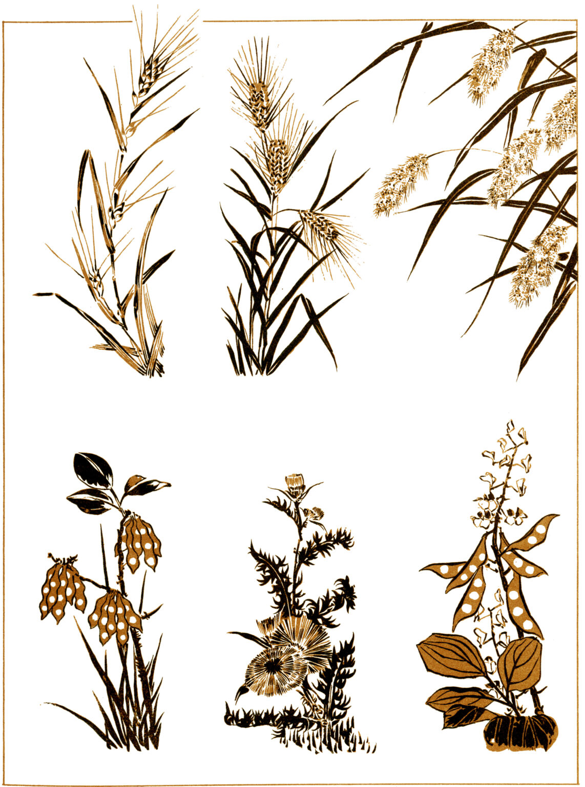 Behold A Grammar of Japanese Ornament and Design: The 19th Century Book